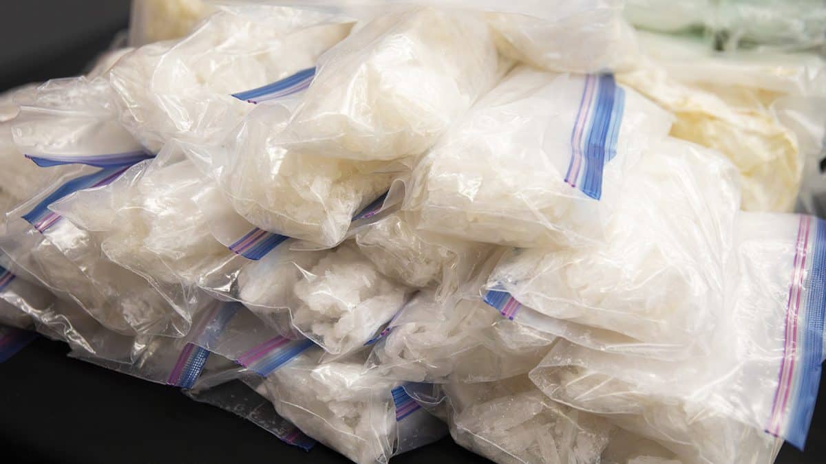 largest meth bust halton