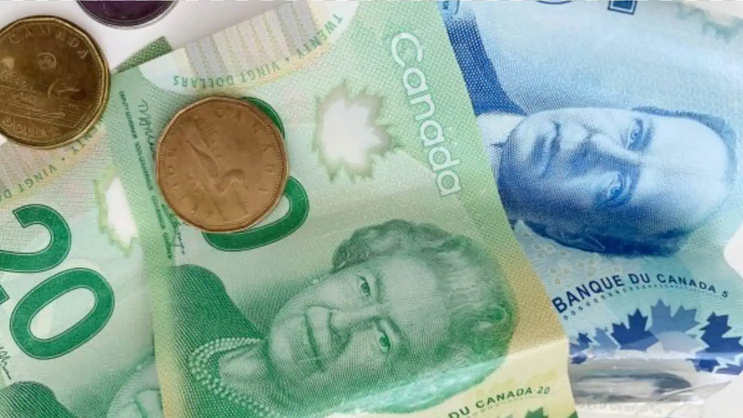 new benefit grocery canada