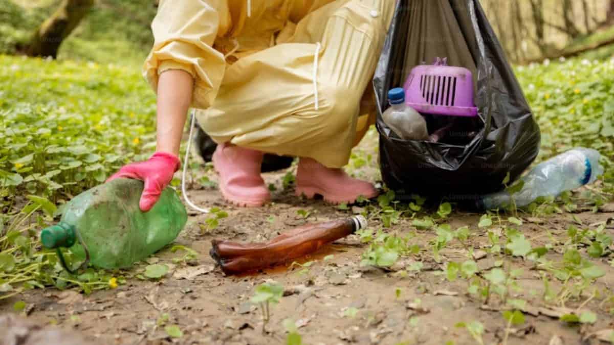 mississauga park clean litter help residents