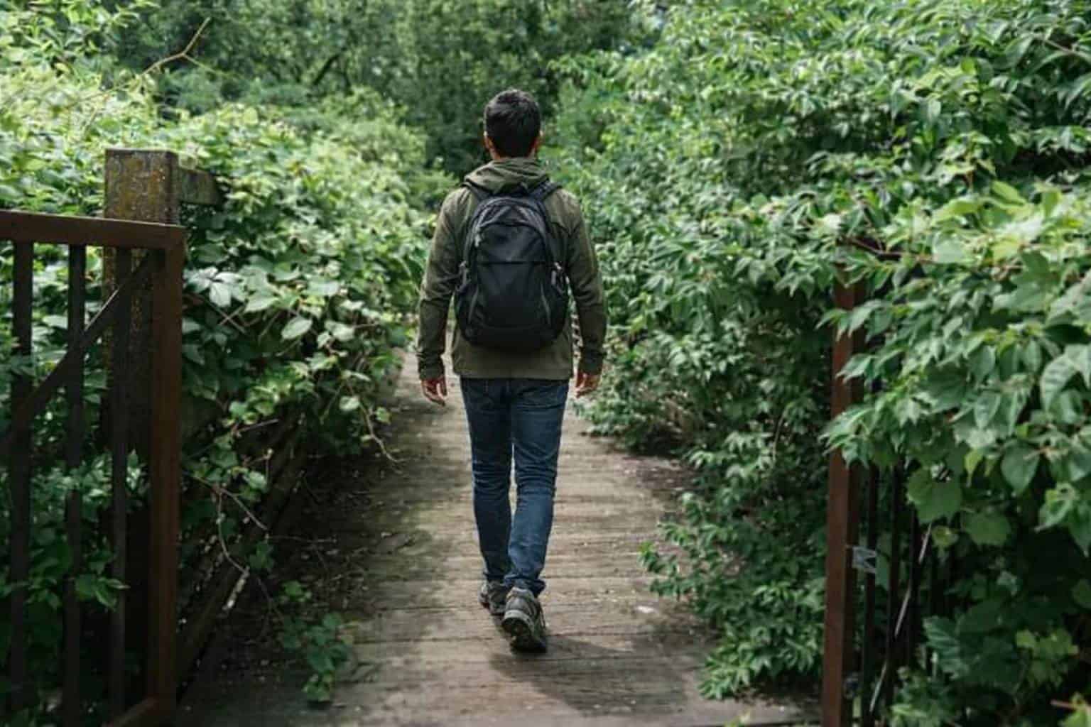 pathway brampton safe catwalk