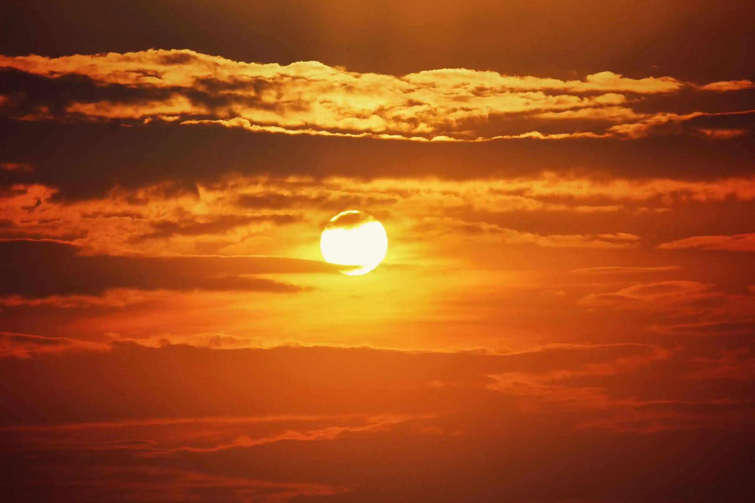 Toronto and Ontario hit with dangerous humidex near 45c